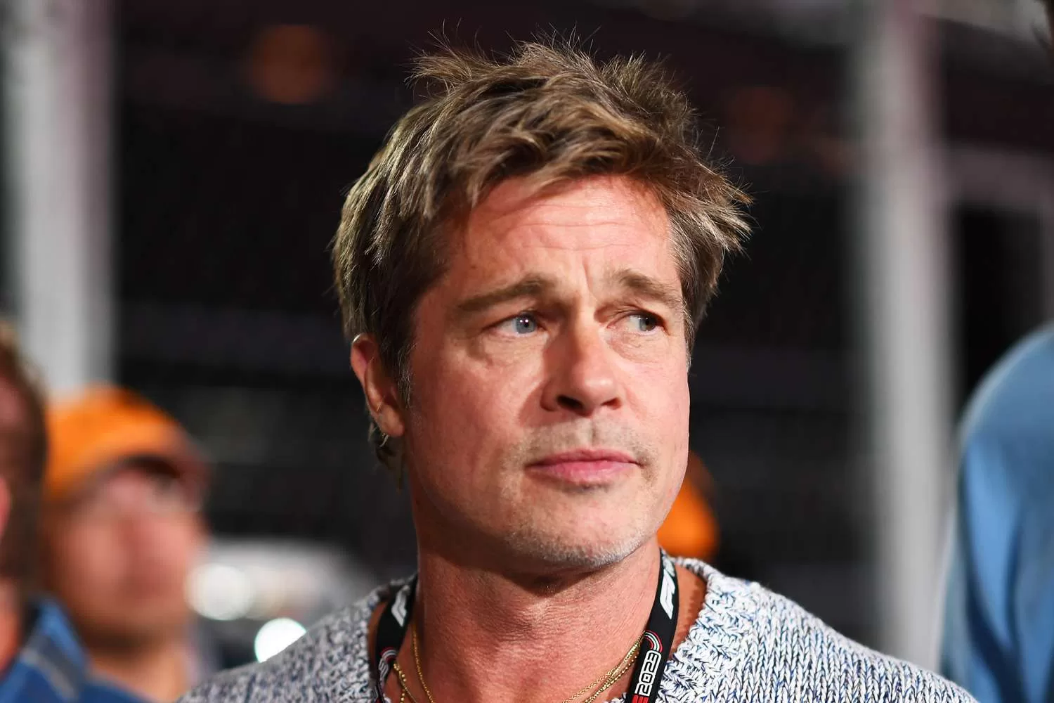Brad Pitt (risorsa del web)