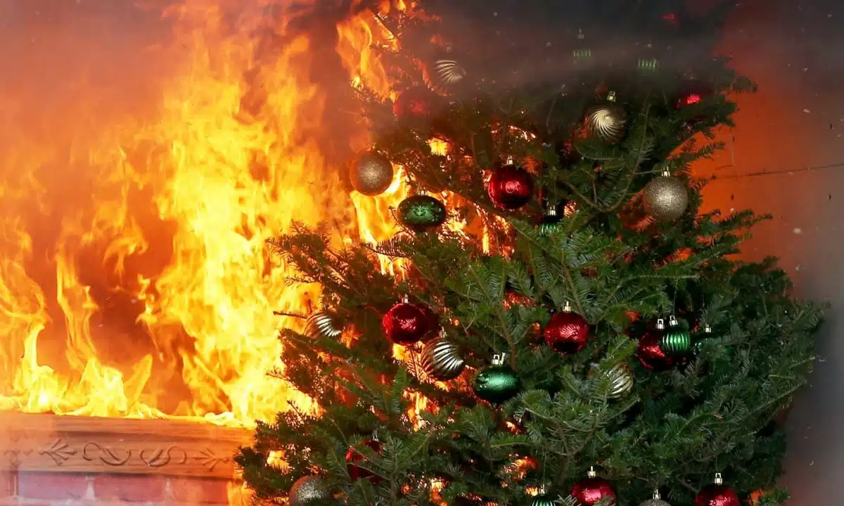 Va comprare i regali di Natale e lascia i quattro figli soli di 13,5,4 e 2 anni, ritorna a casa e li trova tutti i morti per un incendio scoppiato in casa