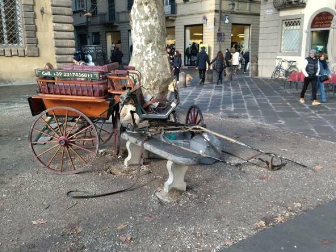Lucca panico in piazza, cavallo si imbizzarrisce per lo scoppio di un petardo e si scontra con un’auto