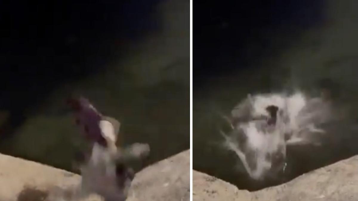 Bari, baby gang in azione sul lungomare, ragazzo lanciato in acqua con un calcio, il video diventa subito virale