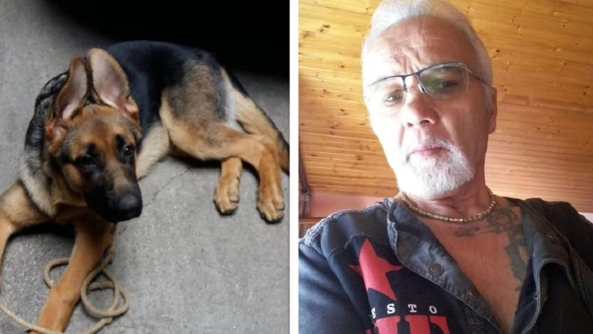 Udine, coppia d’anziani morta di stenti, i loro corpi ritrovati dopo una settimana, a vegliarli il loro cane