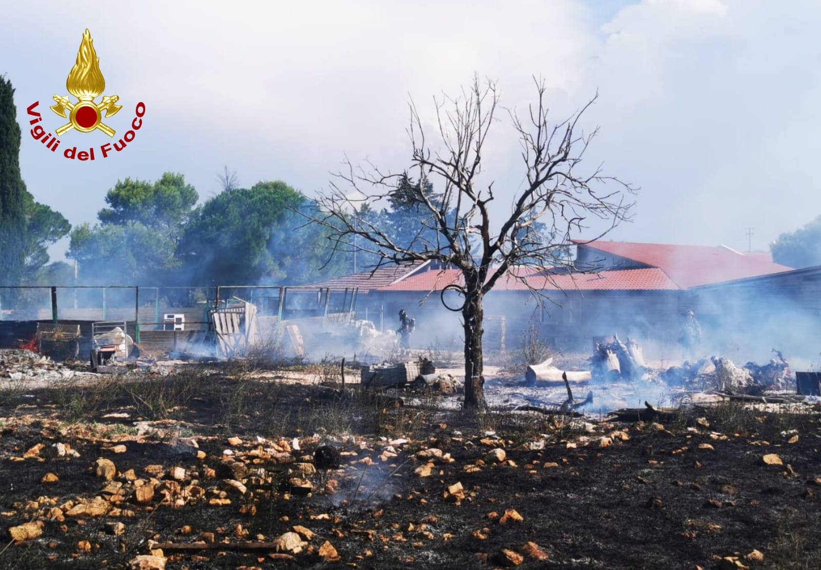 Un incendio di sterpaglie a Cassano ha messo in pericolo la foresta di Mercadante e un ranch di cavalli. L'intervento tempestivo dei soccorritori ha scongiurato il peggio.