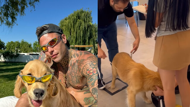 A giugno, Fedez ha adottato un Golden Retriever di nome Silvio, un gesto che ha attirato alcune critiche, soprattutto per la scelta del nome.