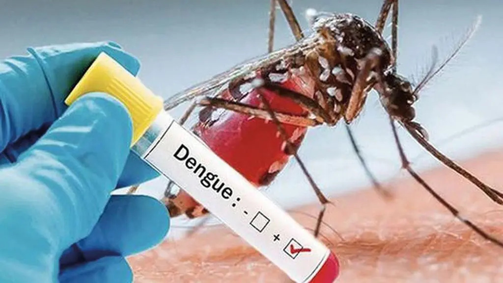 Il numero di casi di dengue a Fano, in provincia di Pesaro e Urbino, ha raggiunto quota 102. La Regione Marche monitora costantemente la situazione, prevedendo ulteriori verifiche sui casi con sintomi compatibili.