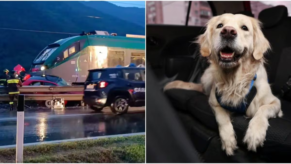 Un treno ha travolto un’auto rimasta bloccata al passaggio a livello a Villa di Tirano, in provincia di Sondrio. I passeggeri sono riusciti a mettersi in salvo, ma un cagnolino ha perso la vita nell’impatto.